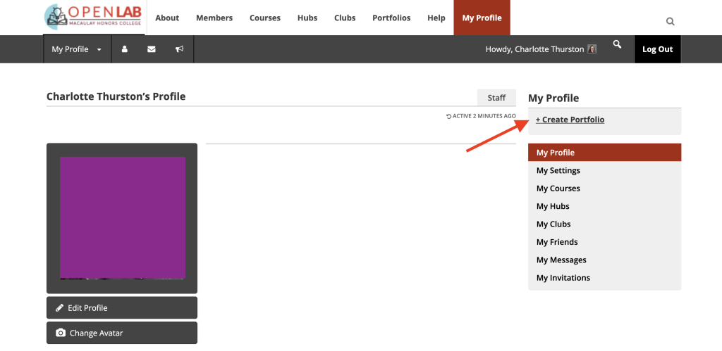 Screenshot showing Profile Page, and "Create Portfolio" button in the top right of the image. 